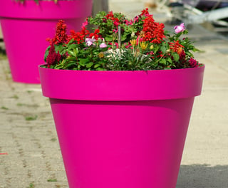 greenfeet flower pot.jpg