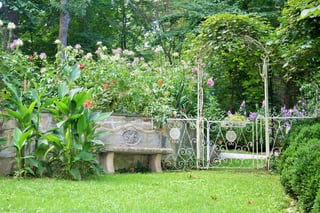 summer-garden-1275405_1920.jpg