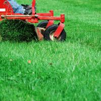 red sitting mower cutting grass