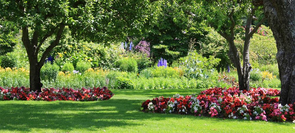 lawn