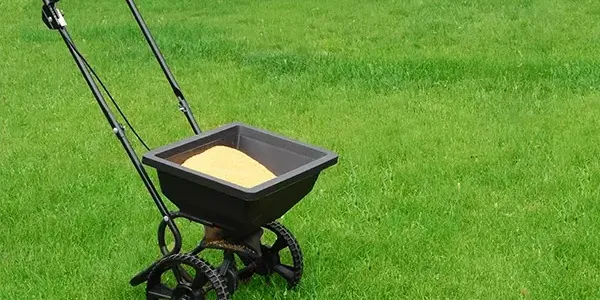 fertilizer